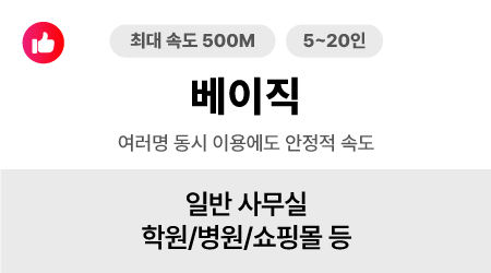 최대속도 500M-인터넷 베이직