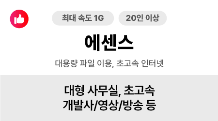 최대속도 1G-인터넷 에센스