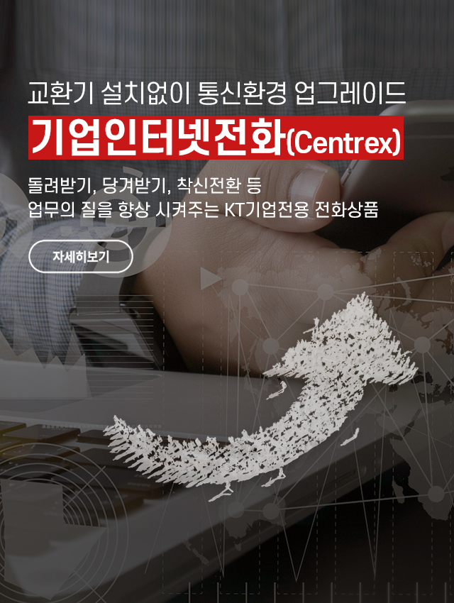 기업 인터넷전화(Centrex)